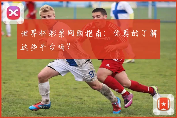 世界杯彩票网购指南:你真的了解这些平台吗?