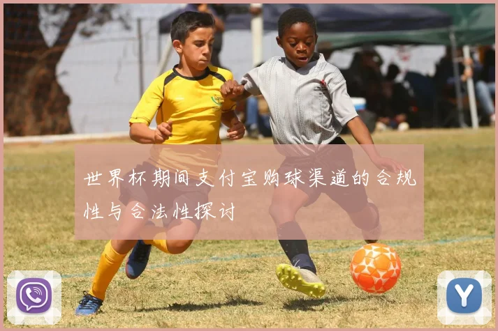 世界杯期间支付宝购球渠道的合规性与合法性探讨