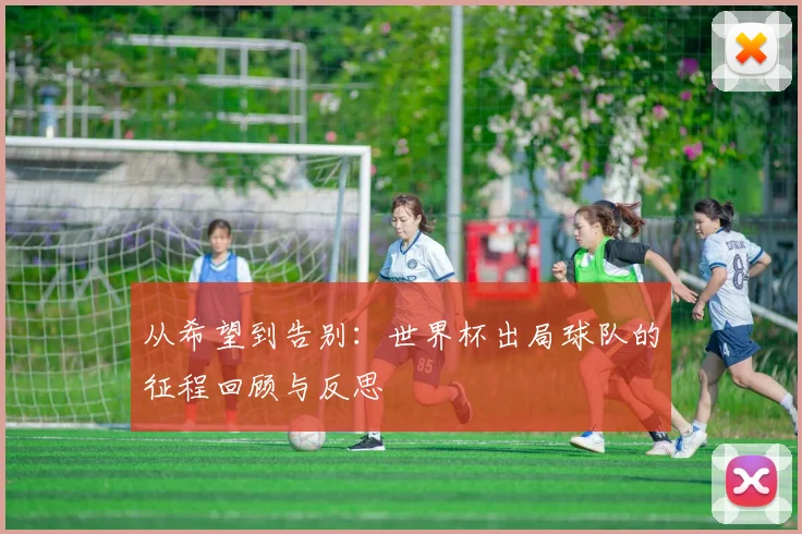 从希望到告别：世界杯出局球队的征程回顾与反思