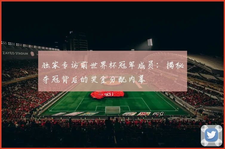 独家专访前世界杯冠军成员：揭秘夺冠背后的奖金分配内幕