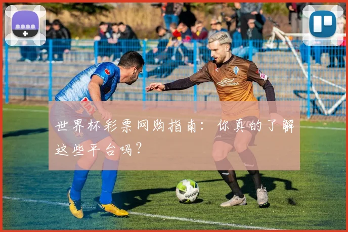 世界杯彩票网购指南:你真的了解这些平台吗?