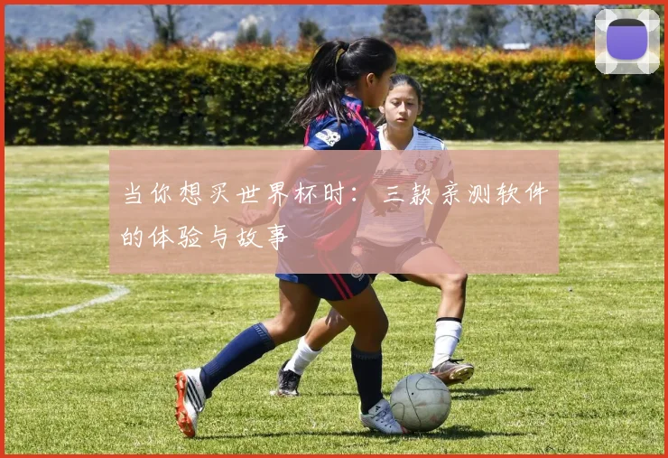 当你想买世界杯时：三款亲测软件的体验与故事