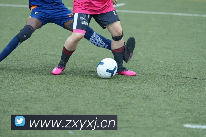 星空网最新地址服务体系